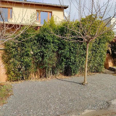 Le Cosy Du Plongeoir - T2 Neuf Avec Vue Sur Le Lac De Serre Poncon Et Grande Terrasse Avec Jardin Savines Zewnętrze zdjęcie